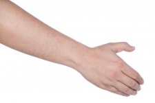 image of human_body_parts