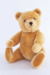 image of teddy_bear