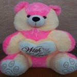 image of teddy_bear