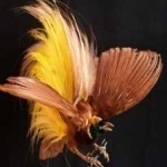 image of bird