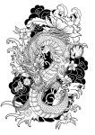 image of dragon