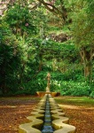 image of garden