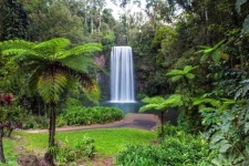 image of tropical_forest