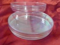 image of petri_dish