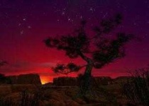 image of joshua_tree