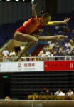 image of balance_beam