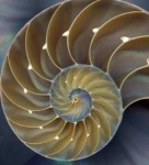 image of texture