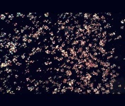 image of bubble
