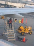 image of wing