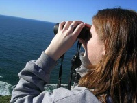 image of binoculars