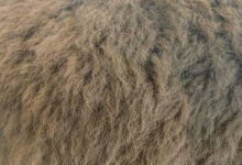 image of texture