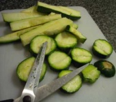 image of zucchini #17