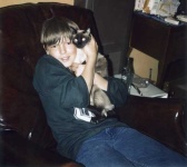 image of siamese_cat