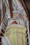 image of cradle