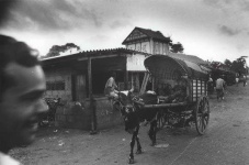 image of oxcart