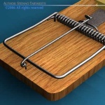 image of mousetrap
