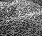 image of texture
