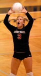 image of volleyball
