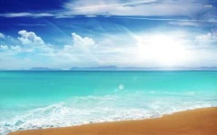 image of sunny