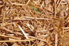 image of texture
