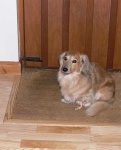 image of doormat