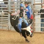 image of bull_riding #30