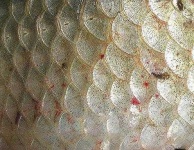 image of texture