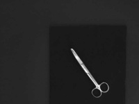 image of curved_scissor #27