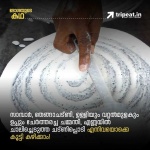 image of food