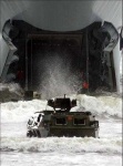 image of amphibian