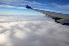 image of wing
