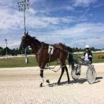 image of harness_racing #6