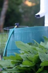 image of rain_barrel