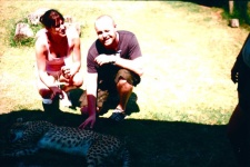 image of animal