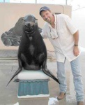 image of sea_lion