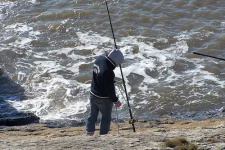 image of reel