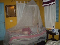 image of mosquito_net