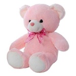 image of teddy_bear