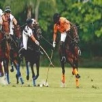image of sport