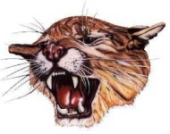 image of cougar_face