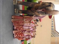 image of indian_elephant