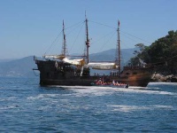 image of pirate_ship #794