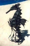 image of sea_horse