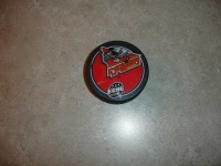 image of puck