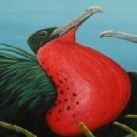 image of bird