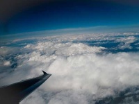 image of wing