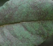 image of texture