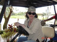 image of golfcart