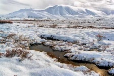image of tundra
