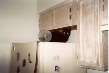 image of refrigerator